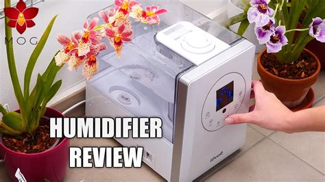 levoit lv600hh humidifier review.